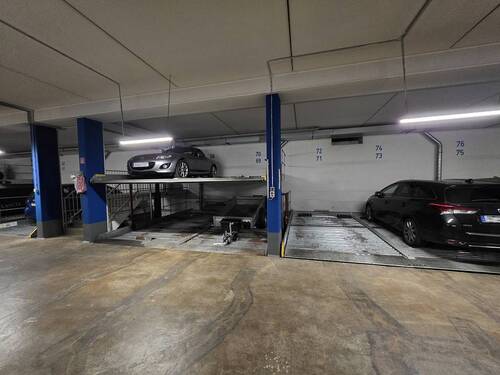 20250808_090244_(1024_x_768).jpg - 