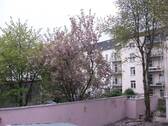 Blick vom Balkon - 