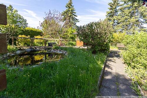 Garten mit Teich - 