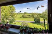 Blick aus dem Wohnzimmer EG - 