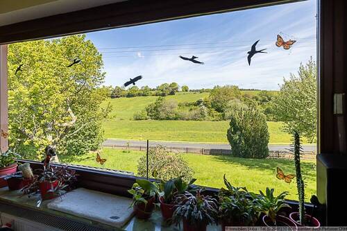 Blick aus dem Wohnzimmer EG - 