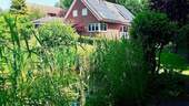 eine eigene Parkanlage - 