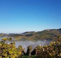 Bauplatz in Durbach, vom Traum zum Raum, Platz für 4 Wohneinheiten