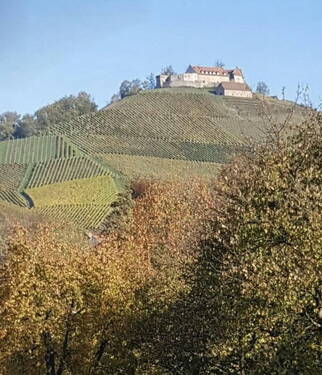 Ausblick auf Schloss Durbach - Grundstück zum Kaufen in Durbach
