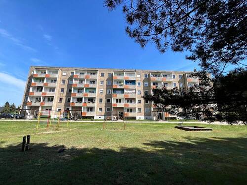 IMG-20250430-WA0019 - 