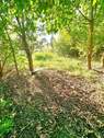 Baugrundstück mit Bäumen sonnig - Grundstück in Wustermark