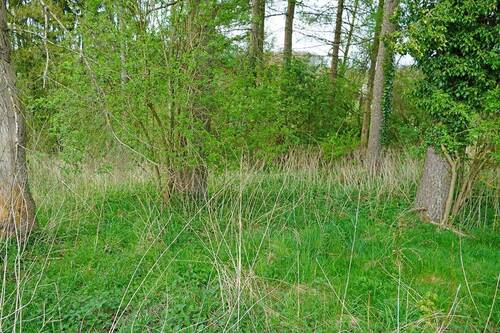 Hier beginnt die Wildnis - 