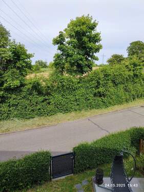 ... die andere Straßenseite - 