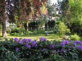 Gartenblick aus Wohnraum EG 3 - 
