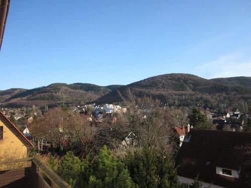 Ausblick Südbalkon - 3 Zimmer Etagenwohnung in Bad Harzburg