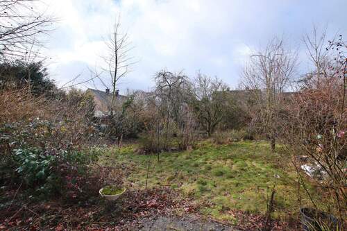 Blick in den Garten - 