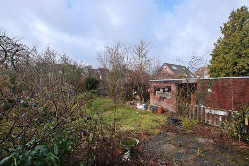 Blick in den Garten - 