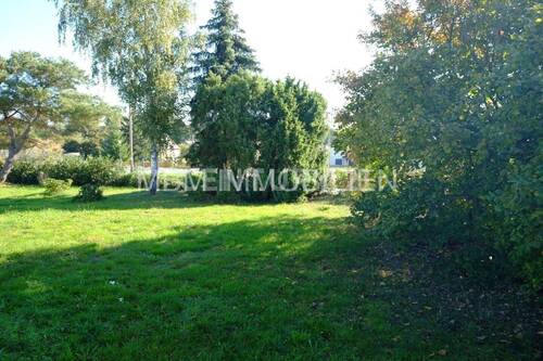 Bild 3 - 2 Zimmer Einfamilienhaus in Neukirch