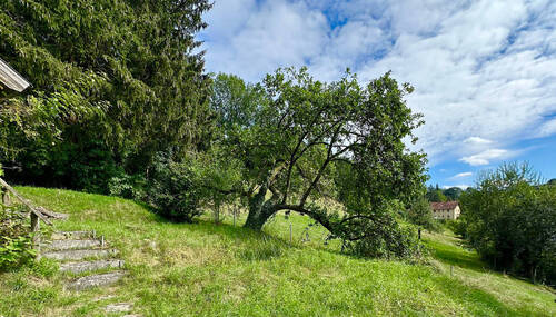 Grundstück - Grundstück zum Kaufen in Landshut