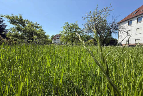 Bild2 - 5 Zimmer Einfamilienhaus zum Kaufen in Halle (Saale)-Gartenstadt Nietelben