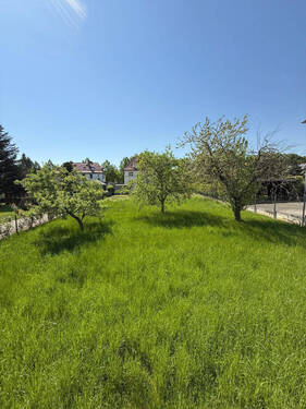 Bild4 - Einfamilienhaus mit 145,00 m² in Halle (Saale)-Gartenstadt Nietelben zum Kaufen