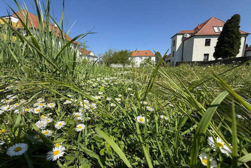 Bild5 - 