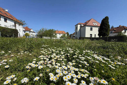 Bild6 - 