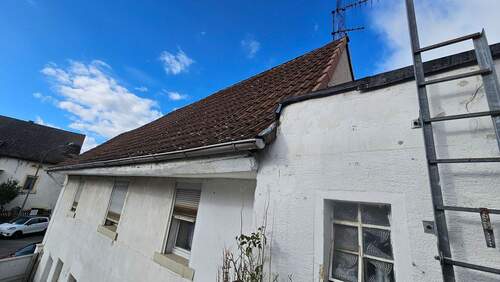 Seitenansicht.jpg - 4 Zimmer Einfamilienhaus in Neustadt an der Weinstraße