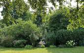 Garten (Sommeraufnahme) - 