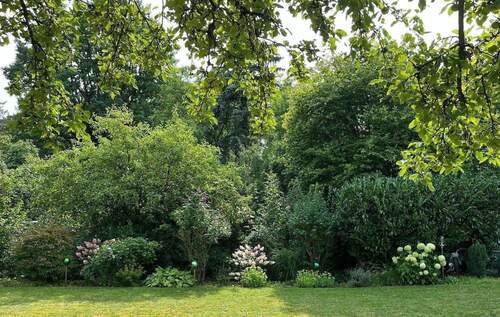 Garten (Sommeraufnahme) - 