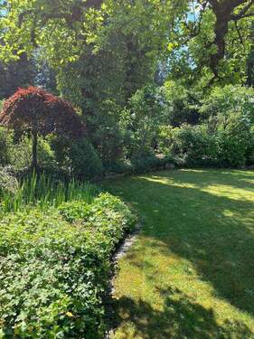 Garten (Sommeraufnahme) - 
