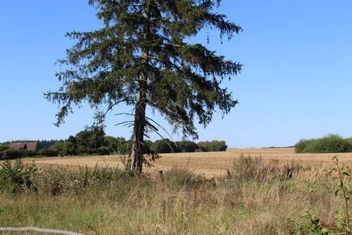 Grundstück mit Weitblick - 