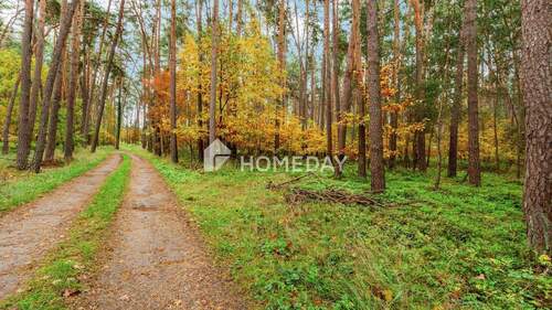 Grundstück 4 1 - Bauernhaus, Landhaus mit 300,00 m² in Abenberg zum Kaufen