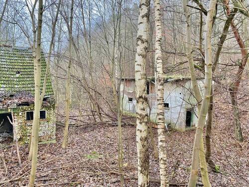 Nebengelass 1 und 2 - 