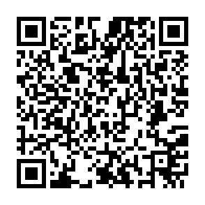 QR-Code - 