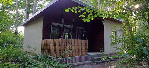 IMG-20260226-WA0001.jpg - 