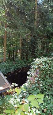 IMG-20250919-WA0004.jpg - 