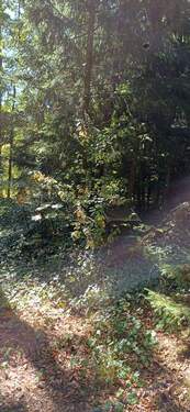 IMG-20250919-WA0013.jpg - 