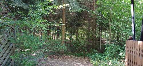 IMG-20250919-WA0010.jpg - 