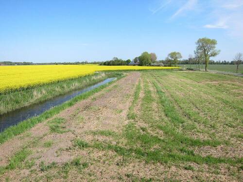 Weitblick über Wiesen und Felder - 