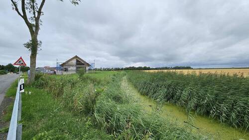 Cappeler Wasserlöse - 