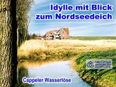 in Sichtweite zum Nordseedeich - 
