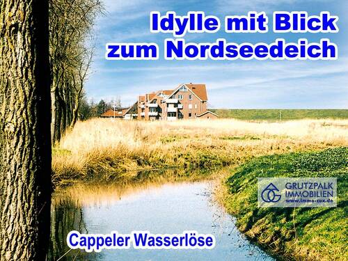 in Sichtweite zum Nordseedeich - 