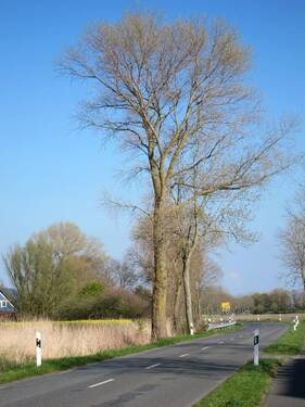 Ortseingang von Cappel-Neufeld - 