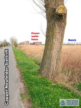 Straßengraben an der Sieltrift - 