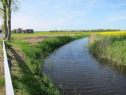 Cappeler Wasserlöse - Grundstück zum Kaufen in Wurster Nordseeküste