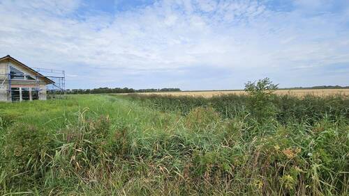 Blick zum Bauplatz und weiter - Grundstück in Wurster Nordseeküste zum Kaufen