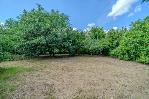 Bauplatz - Sonniges Baugrundstück in zweiter Reihe - Wohnen nahe Wald und See