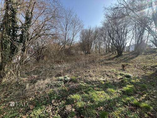 Grundstück - Grundstück in Westerngrund zum Kaufen