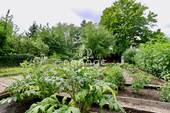 Garten - Bungalow mit 36,00 m&sup2; in Halle zum Kaufen