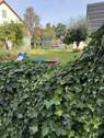 Garten - 4 Zimmer Etagenwohnung zur Miete in Mittweida