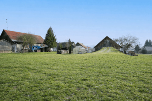 Garten - 
