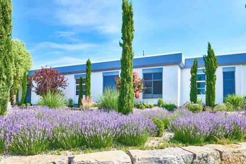 _DSC9468.jpg - 4 Zimmer Büro zum Kaufen in Veitshöchheim
