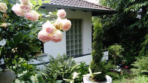 ...beginnt hier! - 4 Zimmer Einfamilienhaus in Bad Soden am Taunus / Neuenhain