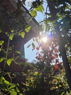 Gartensicht - 5 Zimmer Mehrfamilienhaus, Wohnhaus zum Kaufen in Auetal